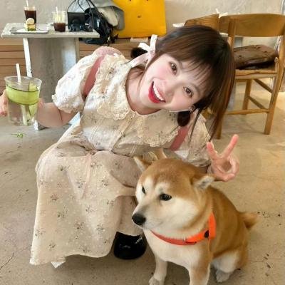 觅影记 海报