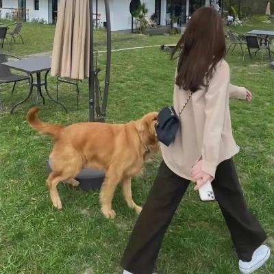 我们是你的朋友 海报